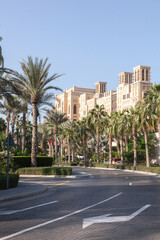 palms and building in Dubai