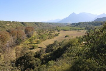 Obraz premium landscape in autumn