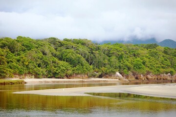 Atlantic forest with lush green leaves. Cloudy sky and calm waters of Itaguare river. 