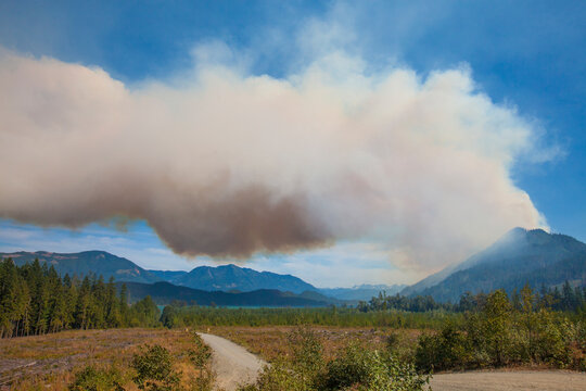 Harrison West forest fire, Fraser Valley, British Columbia,&Acirc;&nbsp;Canada
