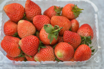 strawberry, berry, raspberry, strawberries, nature, fruit, food, red,