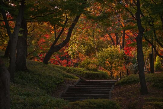 This image shows a scenic park landscape in autumn.
