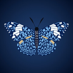 Single isolated colored butterfly  Hamadryas blue cracker on a black and blue background. Vector illustration