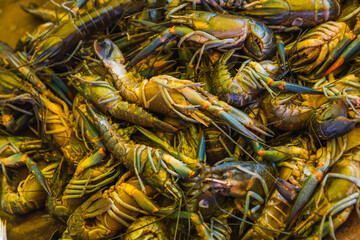 River prawns sold in a typical Mexican street market called tianguis.