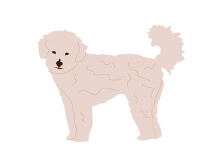 Dog illustration in flat style. Cute dog isolated. vector illustration in cartoon style