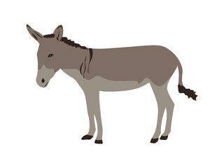 Donkey illustration flat style. Donkey cartoon isolated on white background. Donkey silhouette vector illustration