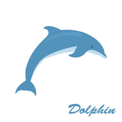 Fototapeta premium Dolphin flat illustration. cute dolphin jumping isolated on white background. vector illustration