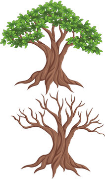 Illustration of a living tree and dead tree