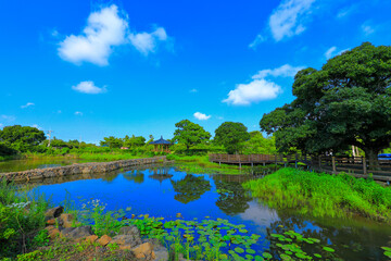 대한민국 제주도에 있는 모산이 연못이라 부르는 연못의 아름다운 풍경이다.
