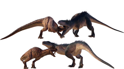 Carcharodontosaurus vs Carnotaurus dinosaur roaring on a blank background PNG ultra high resolution