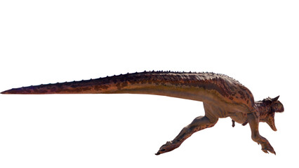 Carnotaurus dinosaur roaring on a blank background PNG ultra high resolution