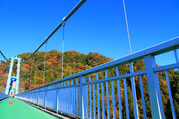 秋の竜神大吊橋