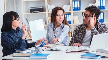 Young student and teacher during tutoring lesson
