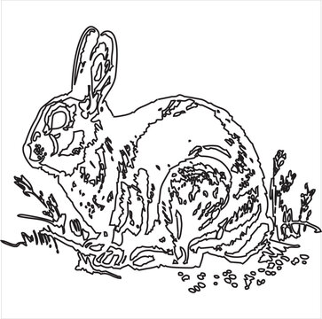 Vector, Image of rabbit icon, black and white color, with transparent background