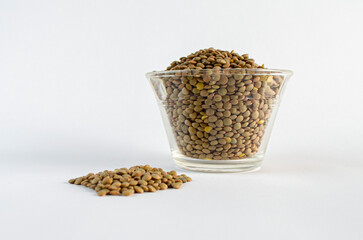 Lentejas en fondo blanco