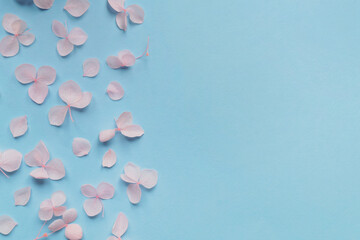Flat lay composition with beautiful hortensia flowers on light blue background. Space for text
