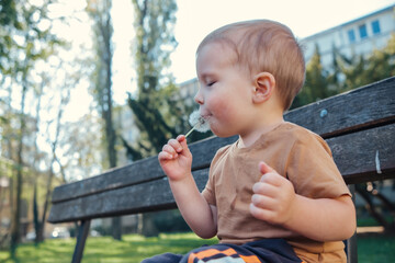 portrait of a happy child on a bench with a dandelion in his hands