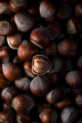 A lot of brown hazelnuts in the shell, top view. Lot of hazelnuts in shells, close up. Flat lay.