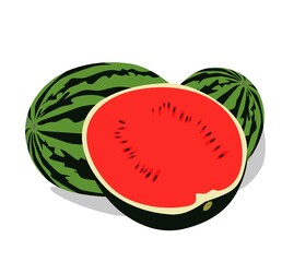 illustration of a watermelon on a white background