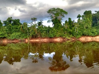 Amazonas