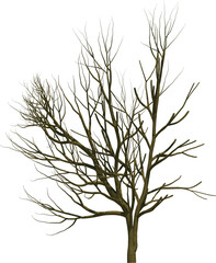 Tree branch cutout