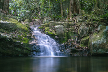 waterfall in the forest
