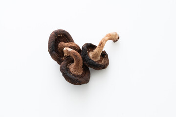 Obraz premium 腐った椎茸（腐敗・黒い）