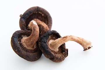 Obraz premium 腐った椎茸（腐敗・黒い）