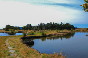 대한민국 제주도에 있는 수산 연못 이라 부르는 연못의 아름다운 풍경이다.