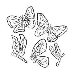 Set of variant insect and butterfly isolated on white background