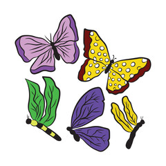 Set of variant insect and butterfly isolated on white background