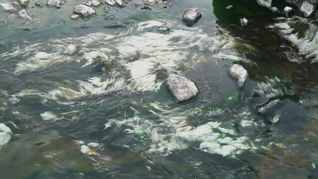High angle view of white algae plant or chloroflexus aurantiacus fluttering in the stream of hot spring water. This footage was taken in hot spring water at Chae Son National Park of Thailand.