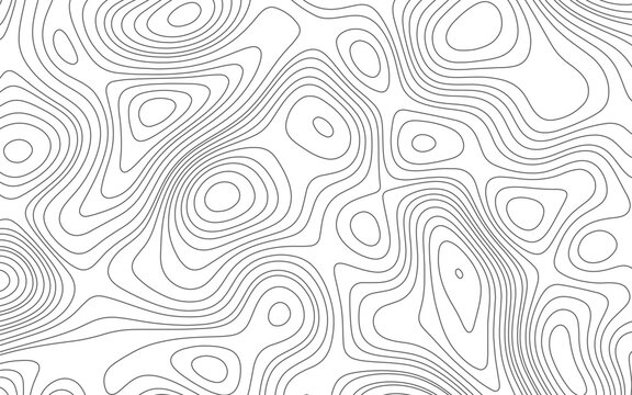 abstract topography contour lines background vector illustration