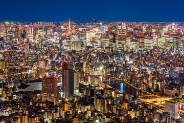 Fototapeta premium 東京 スカイツリーからの夜景