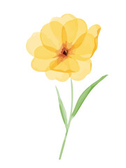 水彩で描いた黄色い花のイラスト素材