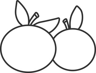 Orange icon, chinese new year, Black line icon.