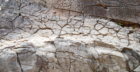 close up cracked rock surface  backdrop background design template