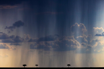 Storm and rain in the Maasai Mara