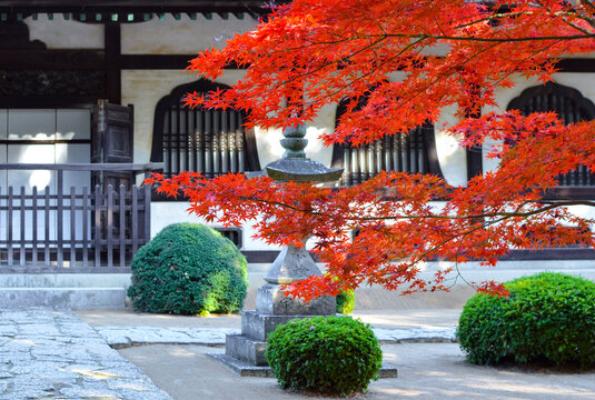 紅葉に彩られる寺の庭