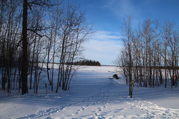 frozen lake in winter