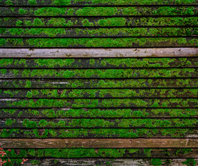 Moosbewachsene Holzbalken