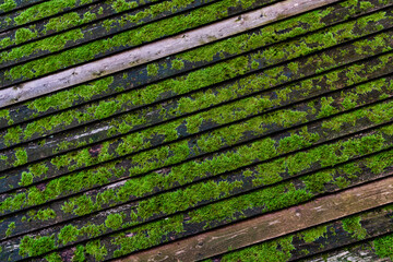 Moosbewachsene Holzbalken