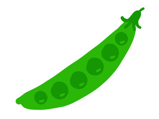 かわいいエンドウ／手描きイラスト素材