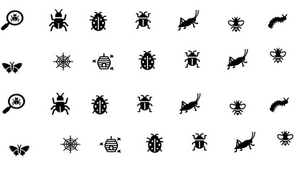 Fototapeta set of bugs and insects icons .insect, silhouette, nature, illustration, pattern, ant, bug, icon, spider, seamless, design, set, animal, butterfly, fly, beetle, black, decoration, ladybug, collection. obraz