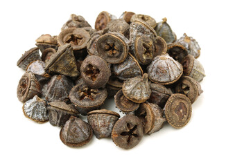 Dried fruits of eucaliptus globulus labill on white background