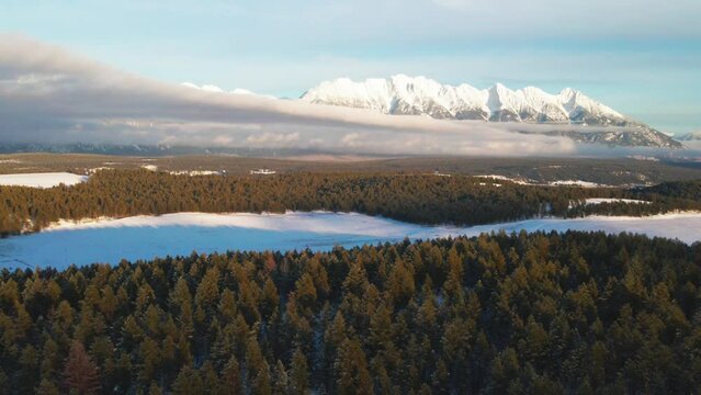 A Sunset Aerial View of a Snowy Forest in the Canadian Rocky Mountains: A Winter Wonderland