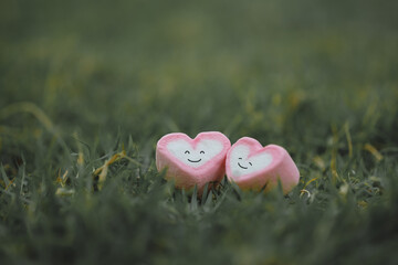 Two heart with happy smiling face on garden. Valentine's day, Couple, Emotion, Enjoy life, Positive thinking, World mental health day, World Heart Day, Health Insurance and charity concept.