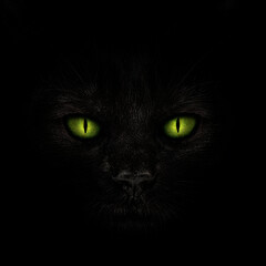 Muzzle of a black cat with glowing green eyes close-up on a blac