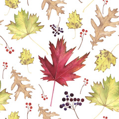 Autumn leaf maple, oak, poplar seamless pattern isolated on white. Watercolor hand drawn illustration. Art for design