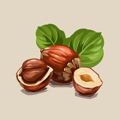 Nuts. Hazelnuts. Vector illustration. sketch 
Nuts. Acorn. Vector illustration. Organic vector food. Eco healthy ingredient For poster, banner, coupon
